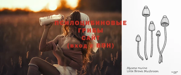 PSILOCYBIN Алексин