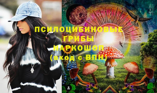 PSILOCYBIN Алексин