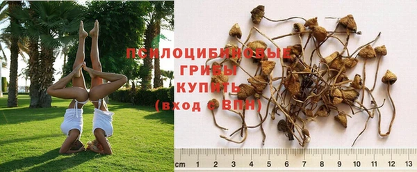 PSILOCYBIN Алексин