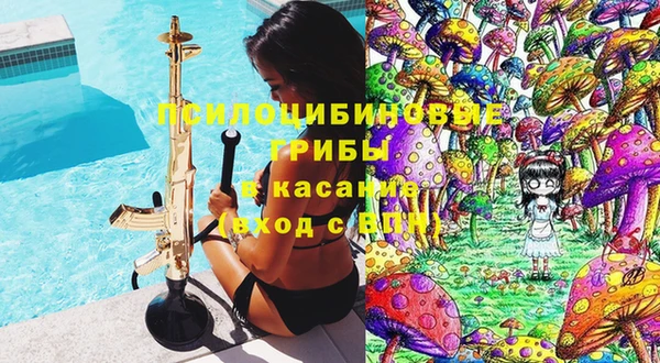 PSILOCYBIN Алзамай