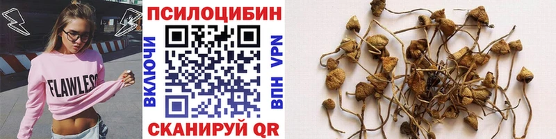 Псилоцибиновые грибы мицелий  Полысаево 